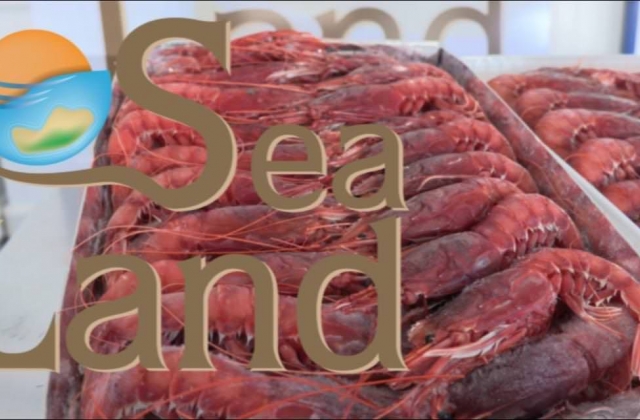 Pescheria Sea Land